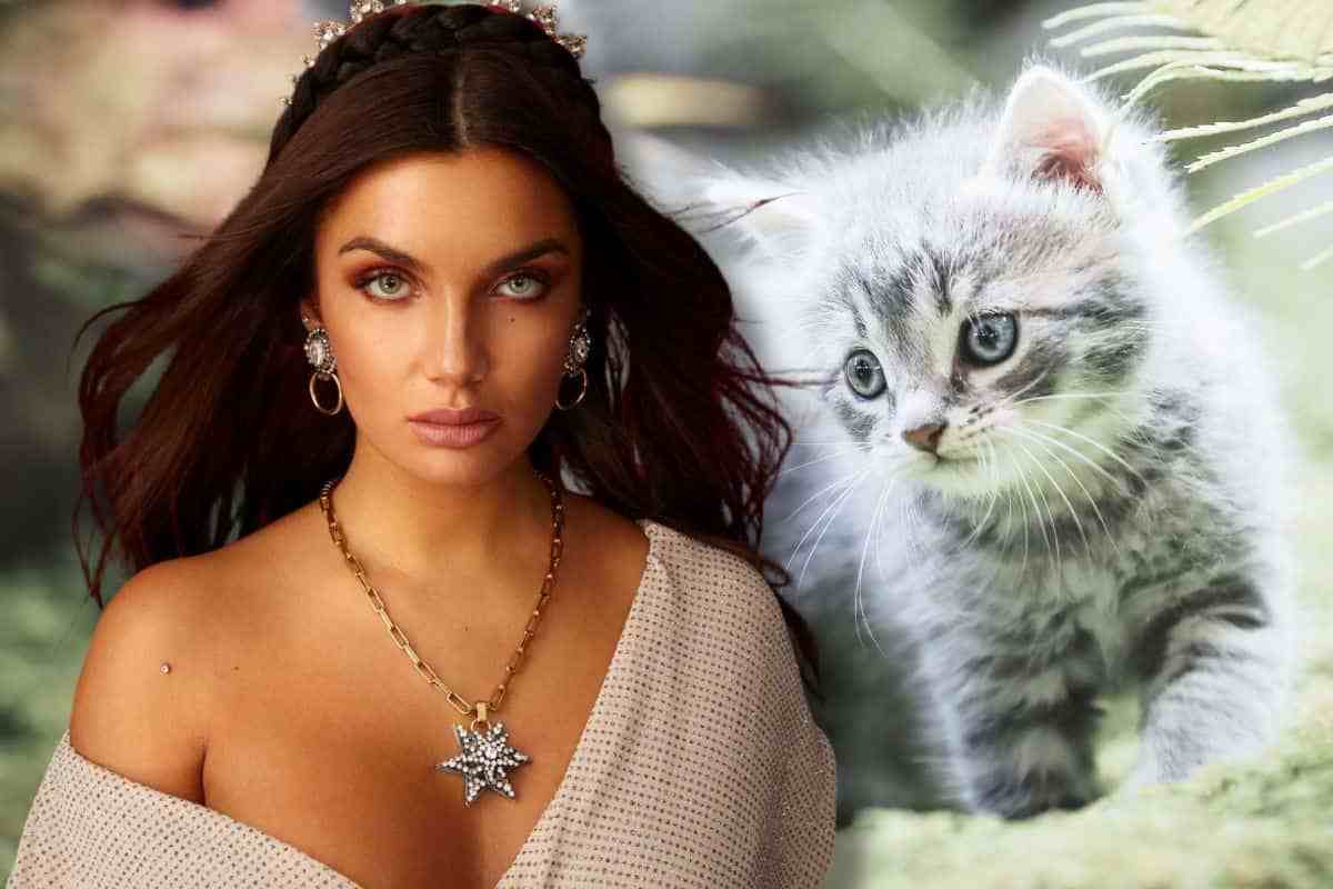 Elettra Lamborghini, da sex symbol a gattara: il video