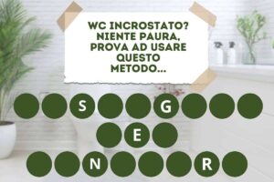 segreto per pulire il wc
